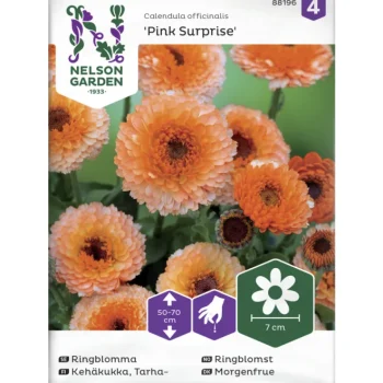 Nelson Garden Basic Kasvien Ja Nurmikonsiemenet-Tarhakehäkukka Siemen Pink Surprise