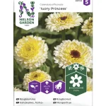Nelson Garden Basic Kasvien Ja Nurmikonsiemenet-Tarhakehäkukka Siemen Ivory Princess