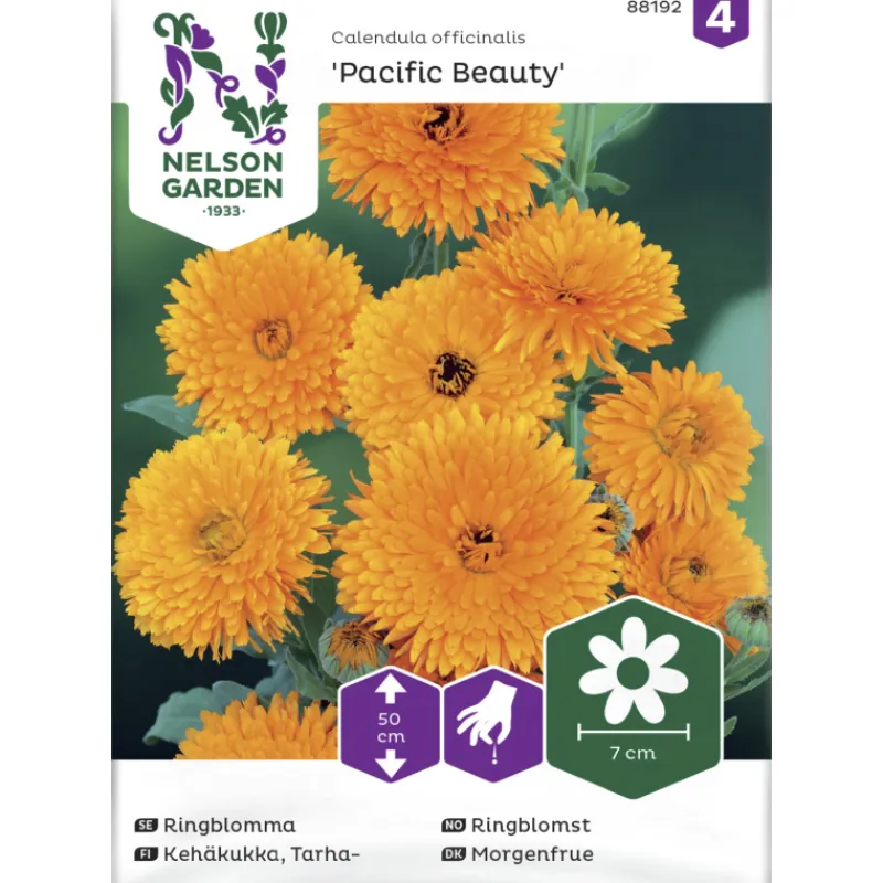 tarhakehkukka-siemen-nelson-ga-gfqNIXhV-0.webp Nelson Garden Basic Kasvien Ja Nurmikonsiemenet-Tarhakehäkukka Siemen Pacific Beauty