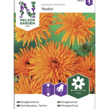 Nelson Garden Basic Kasvien Ja Nurmikonsiemenet-Tarhakehäkukka Siemen Radio