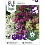 Nelson Garden Basic Kasvien Ja Nurmikonsiemenet-Tarhaleukoija Siemen Ten Week