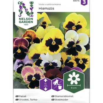 Nelson Garden Basic Kasvien Ja Nurmikonsiemenet-Tarhaorvokki Siemen Hiemalis Väriseos