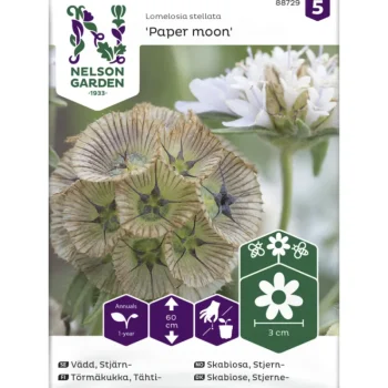 Nelson Garden Basic Kasvien Ja Nurmikonsiemenet-Tähtitörmäkukka Siemen Paper Moon
