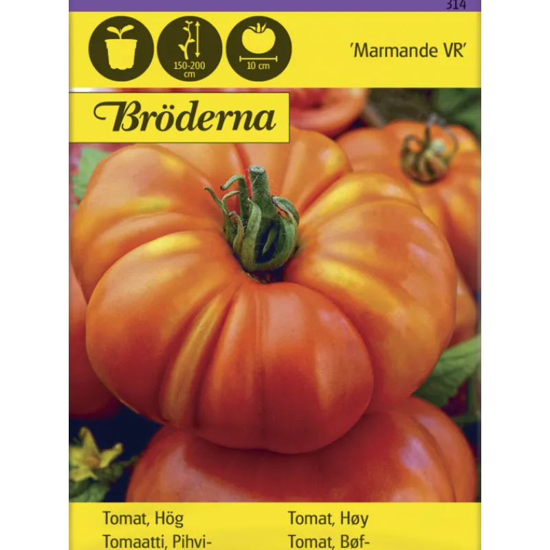 tomaatti-marmande-vr-siemen-br-QkgDNmLV-0.webp Bröderna Nelsons Kasvien Ja Nurmikonsiemenet-Tomaatti Marmande VR Siemen