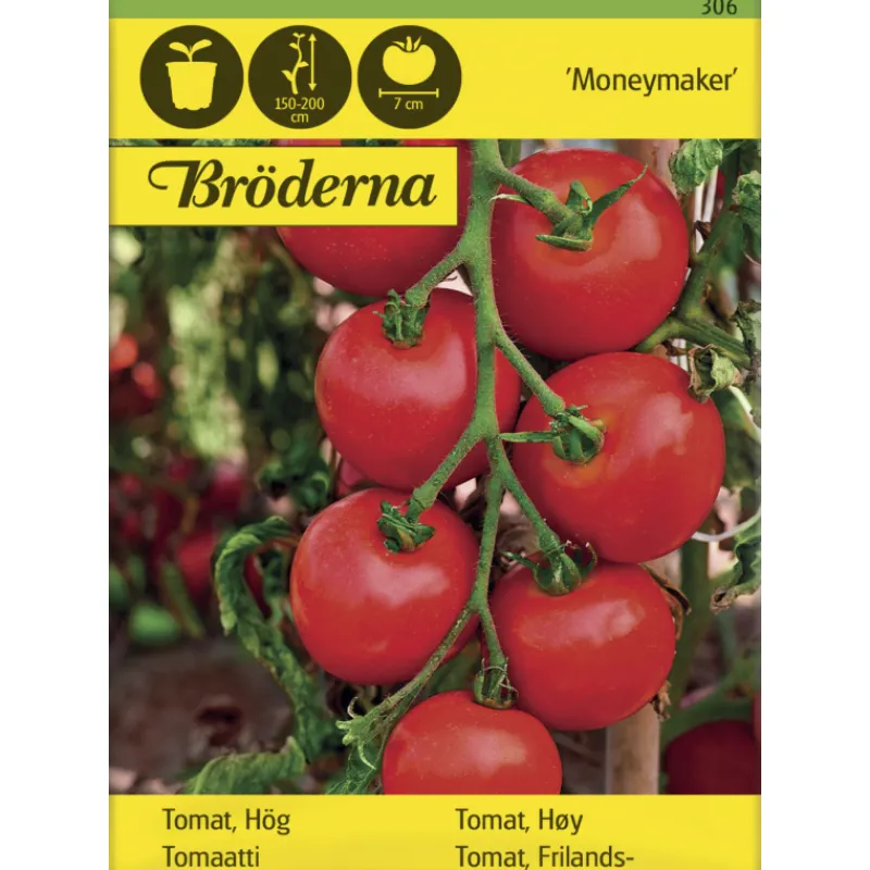tomaatti-moneymaker-siemen-brd-BPLOrvvw-0.webp Bröderna Nelsons Kasvien Ja Nurmikonsiemenet-Tomaatti Moneymaker Siemen