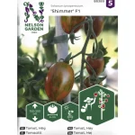 Nelson Garden Basic Kasvien Ja Nurmikonsiemenet-Tomaatti Siemen Shimmer F1