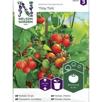 Nelson Garden Basic Kasvien Ja Nurmikonsiemenet-Tomaatti Siemen Ruukkuun Tiny Tim