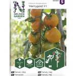 Nelson Garden Basic Kasvien Ja Nurmikonsiemenet-Tomaatti Siemen Merrygold F1
