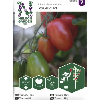 Nelson Garden Basic Kasvien Ja Nurmikonsiemenet-Tomaatti Siemen Ravello F1