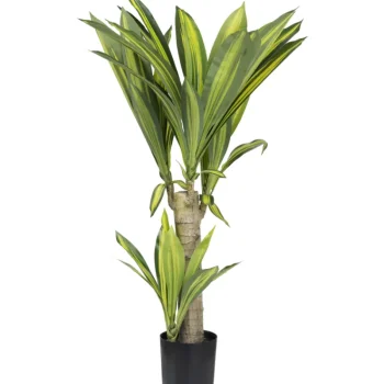 Kotikulta Tekokasvit-Traakkipuu 80 Cm