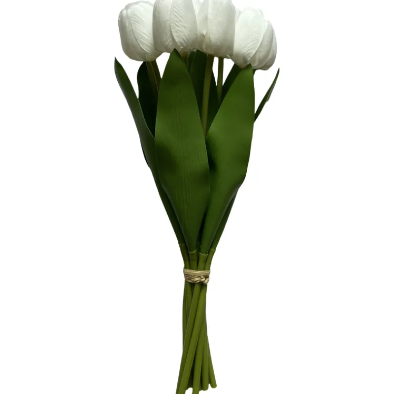 tulppaani-kotikulta-9-kpl-WxbLbeZM-0.webp Kotikulta Tekokasvit-Tulppaani 9 Kpl