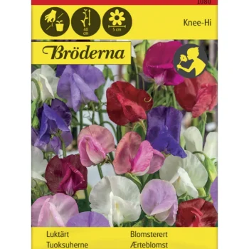 Bröderna Nelsons Kasvien Ja Nurmikonsiemenet-Tuoksuherne Knee-Hi Seos Siemen