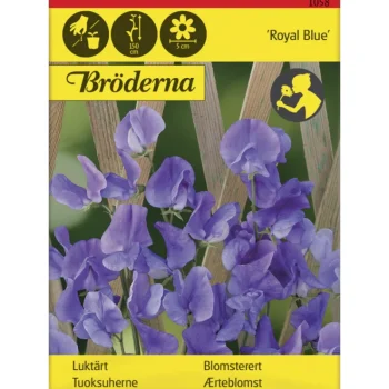 Bröderna Nelsons Kasvien Ja Nurmikonsiemenet-Tuoksuherne Royal Blue Siemen