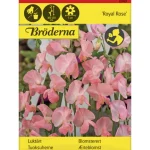 Bröderna Nelsons Kasvien Ja Nurmikonsiemenet-Tuoksuherne Royal Rose Siemen