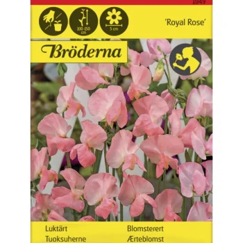 Bröderna Nelsons Kasvien Ja Nurmikonsiemenet-Tuoksuherne Royal Rose Siemen