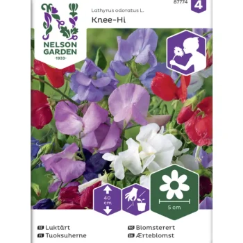 Nelson Garden Basic Kasvien Ja Nurmikonsiemenet-Tuoksuherne Siemen Knee-Hi Seos