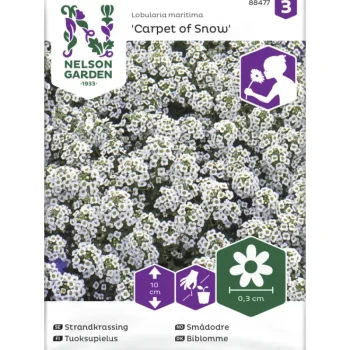 Nelson Garden Basic Kasvien Ja Nurmikonsiemenet-Tuoksupielus Siemen Carpet Of Snow