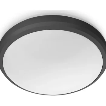 Philips Ulkovalaisimet-Ulkokattovalaisin Doris Musta 6W 40K IP54