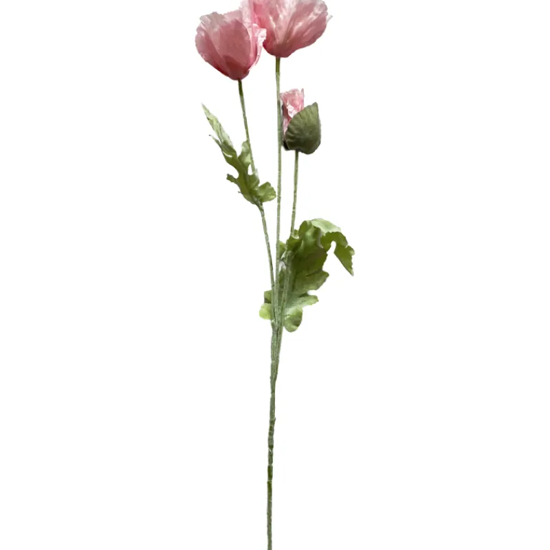 unikko-kotikulta-46-cm-IMsFBdYr-0.webp Kotikulta Tekokasvit-Unikko 46 Cm