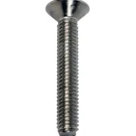 Arctic Marine Naulat Ja Ruuvit-Uraruuvi DIN965 M6x70 A4c, 2 Kpl