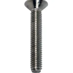 Arctic Marine Naulat Ja Ruuvit-Uraruuvi DIN965 M6x25 A4, 8 Kpl