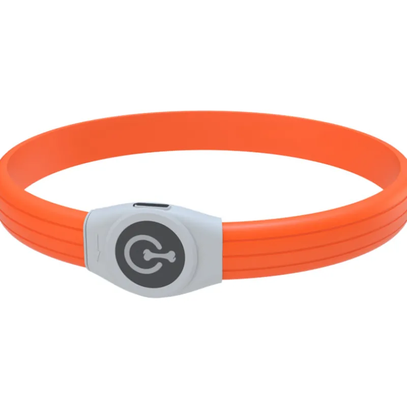 valopanta-real-dog-usb-ladatta-HADkcqTH-0.webp Real Dog Koiratarvikkeet^Valopanta USB-ladattava Oranssi