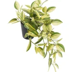 Kotikulta Tekokasvit-Venhojuoru 46 Cm