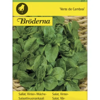 Bröderna Nelsons Kasvien Ja Nurmikonsiemenet-Vertsalaattivuonankaali De Cambrai Siemen