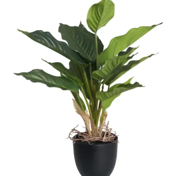 Kotikulta Tekokasvit-Viirivehka 36 Cm Ruukussa